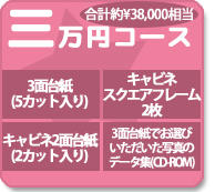 �I�ׂ�3���~�R�[�X