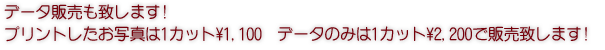 �f�[�^�̔����v���܂�!�v�����g�������ʐ^��1�J�b�g\1,100�@�f�[�^�݂̂�1�J�b�g\2,200�Ŕ̔��v���܂�!