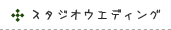 �X�^�W�I�E�G�f�B���O