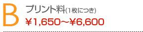 A プリント料(1枚につき) ¥1,650〜¥6,600