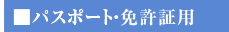 �p�X�|�[�g�E�Ƌ����p