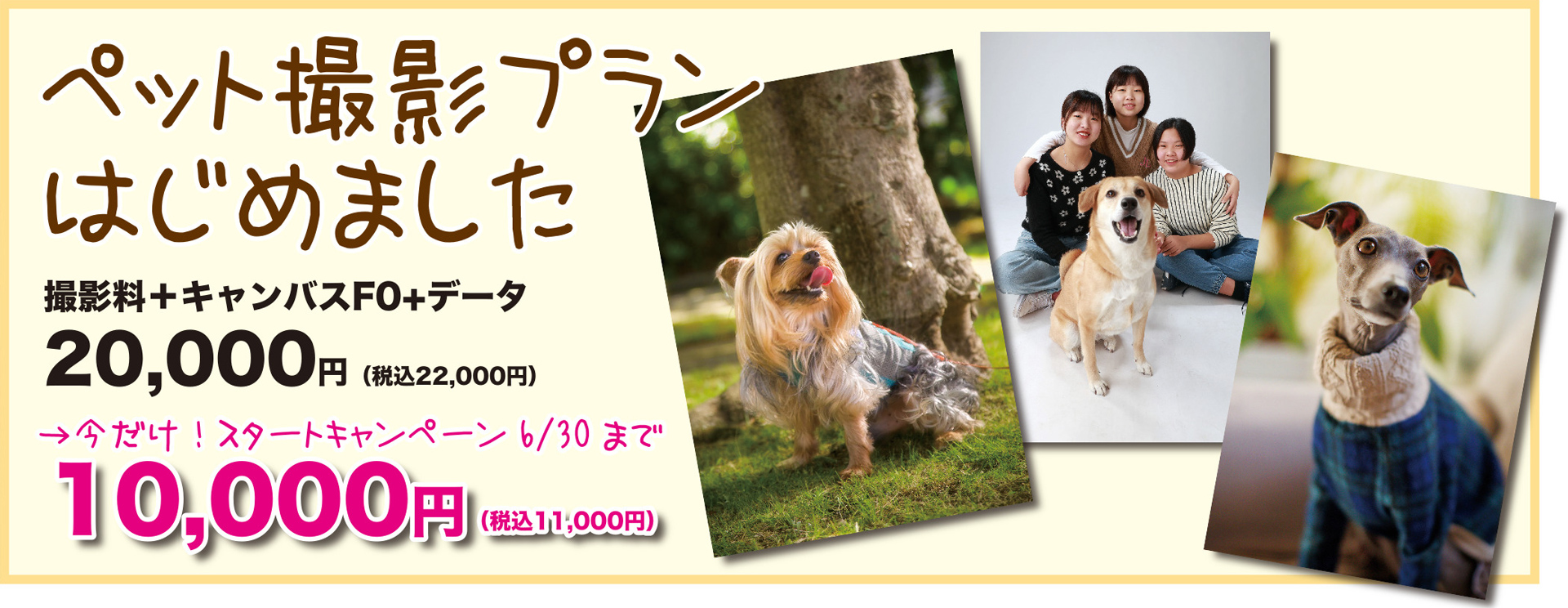 ペット撮影プランスタートキャンペーン詳細