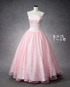 Dress Costume ドレス衣装