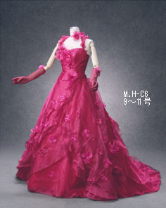 Dress Costume ドレス衣装