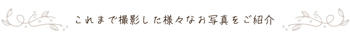 これまで撮影した様々なお写真をご紹介