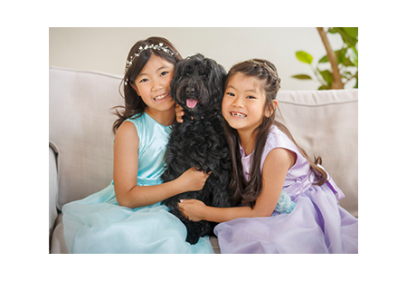 photo of deceased ペット撮影