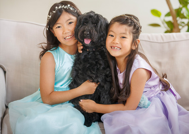 ペットも大切な家族の一員です