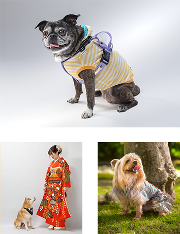 ペットも大切な家族の一員です