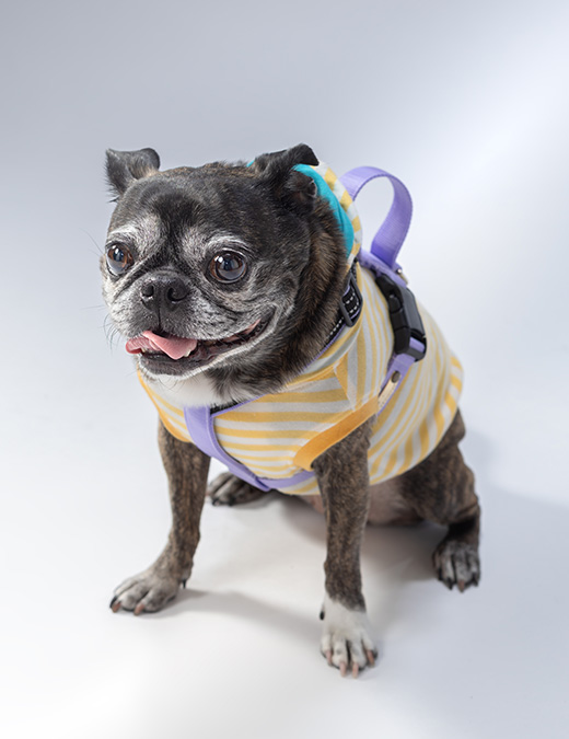 Photo Gallery フォトギャラリー