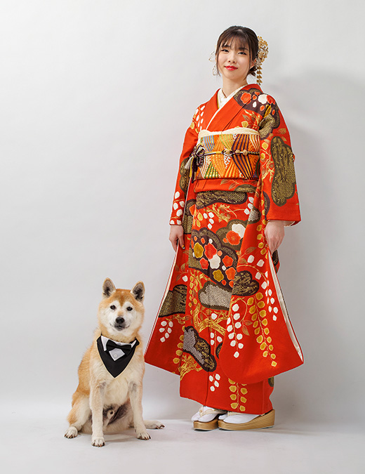 Photo Gallery フォトギャラリー