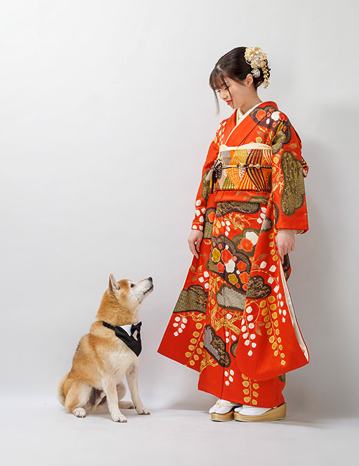 Photo Gallery フォトギャラリー