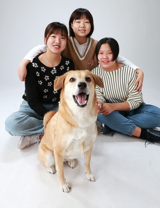 Photo Gallery フォトギャラリー