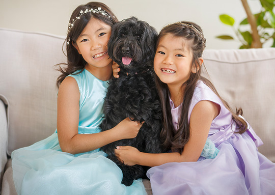 Photo Gallery フォトギャラリー