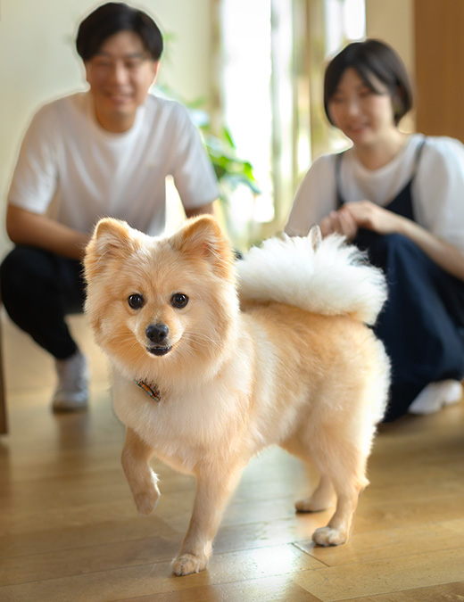 Photo Gallery フォトギャラリー